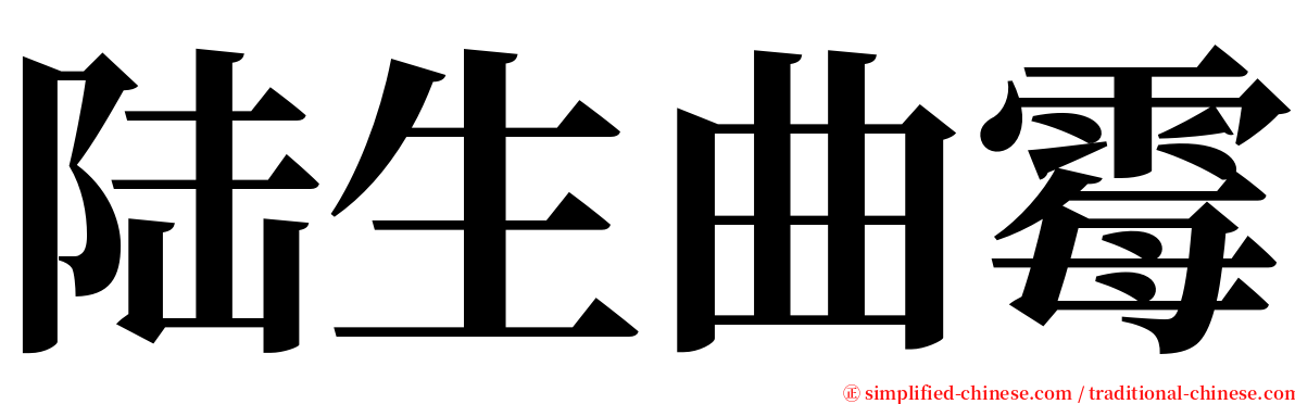 陆生曲霉 serif font
