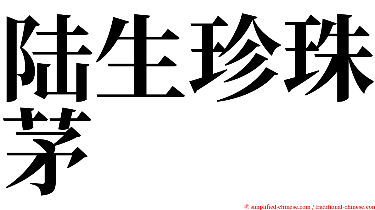陆生珍珠茅 serif font