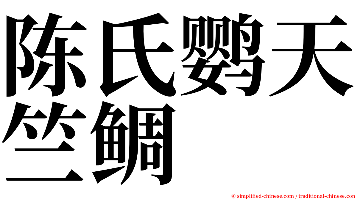 陈氏鹦天竺鲷 serif font