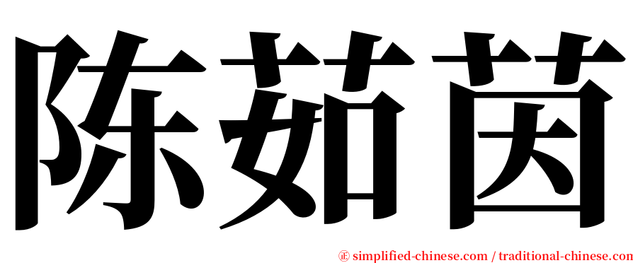 陈茹茵 serif font