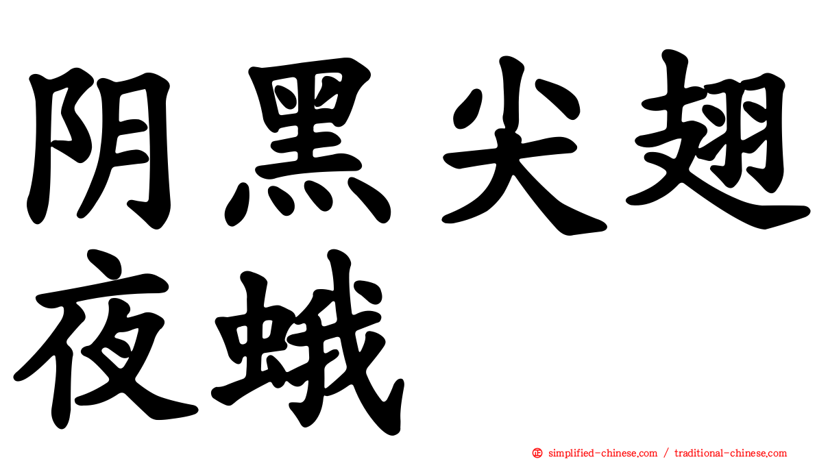 阴黑尖翅夜蛾