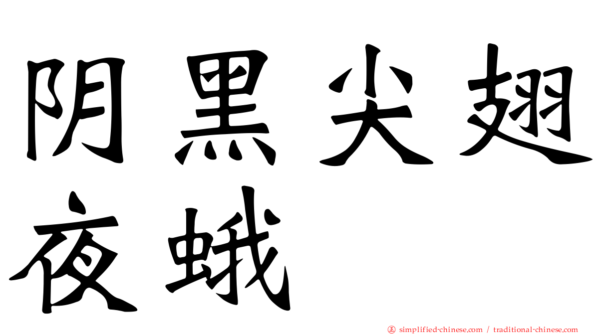 阴黑尖翅夜蛾
