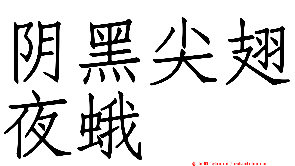 阴黑尖翅夜蛾