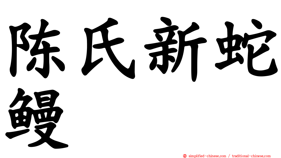 陈氏新蛇鳗