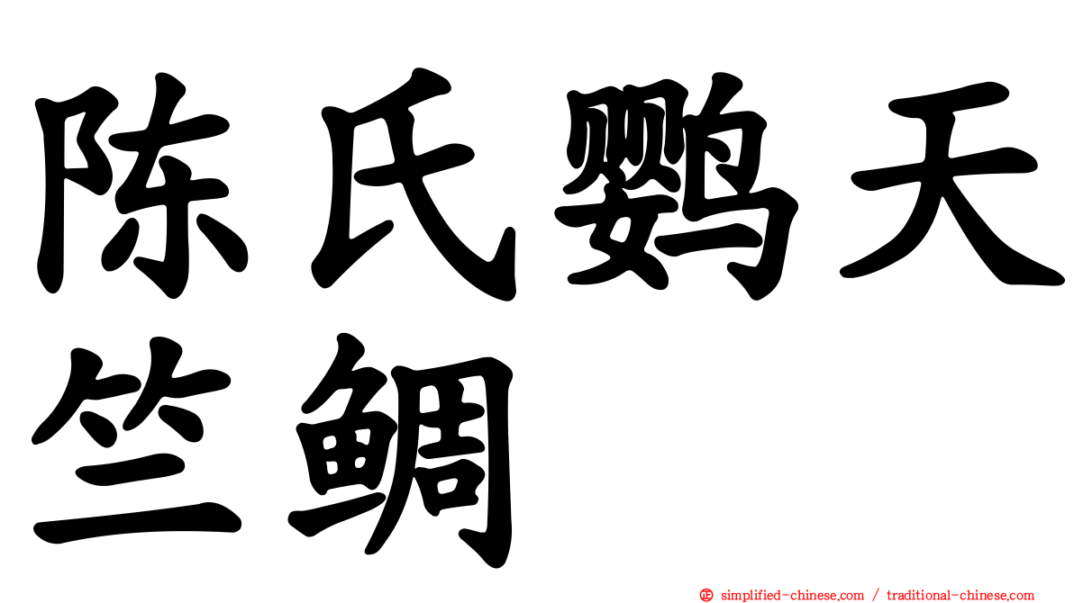 陈氏鹦天竺鲷