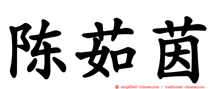 陈茹茵