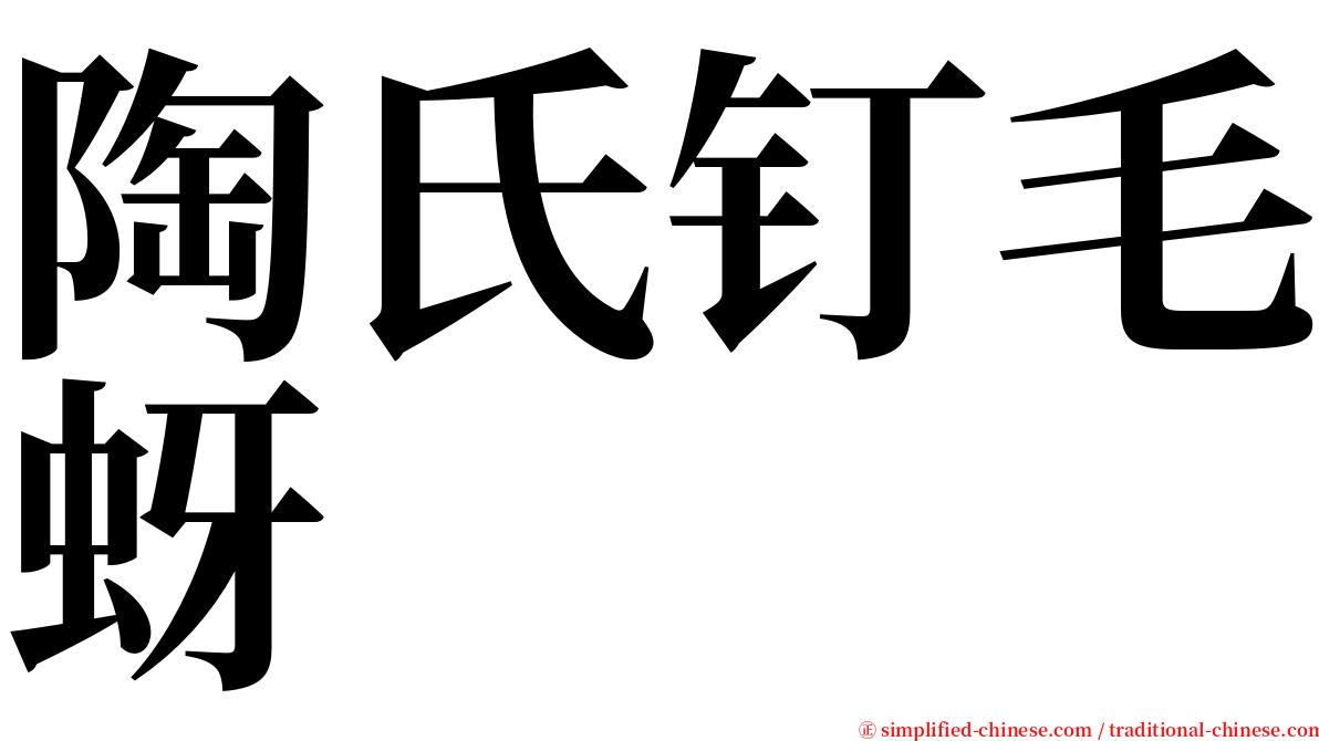 陶氏钉毛蚜 serif font