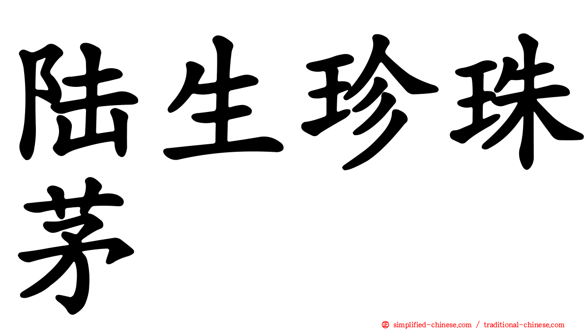 陆生珍珠茅