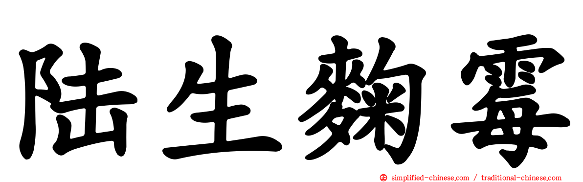 陆生曲霉