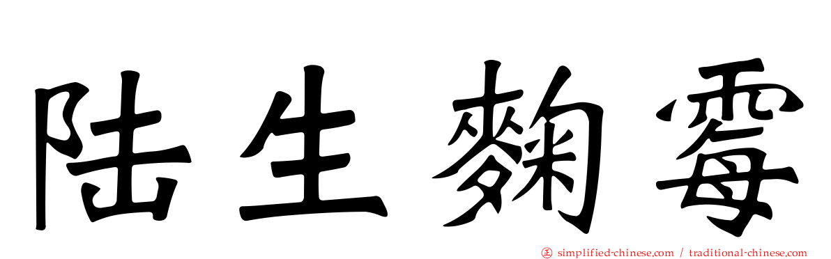 陆生曲霉