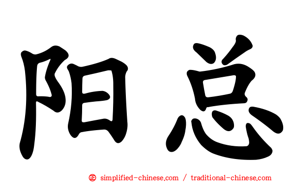 阳总