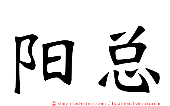 阳总