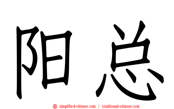 阳总