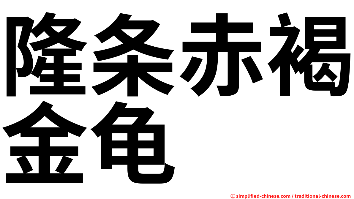 隆条赤褐金龟