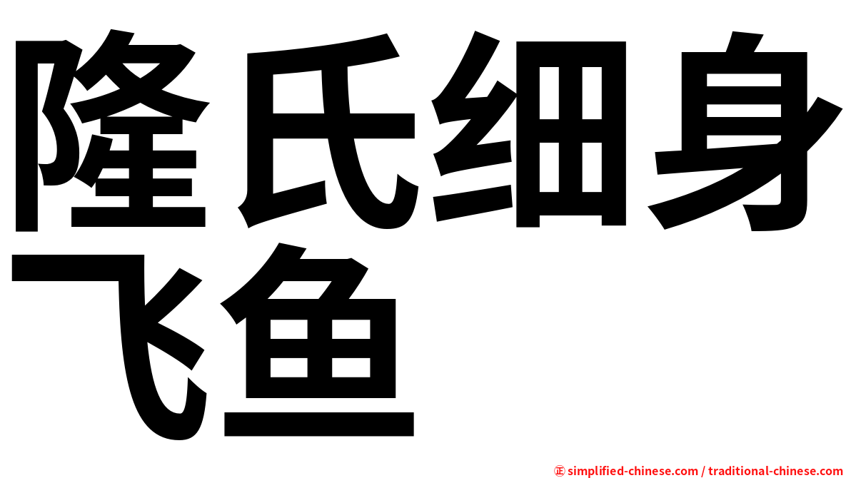 隆氏细身飞鱼
