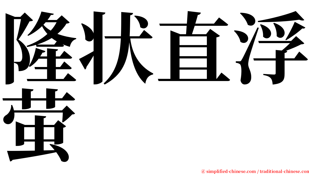 隆状直浮萤 serif font