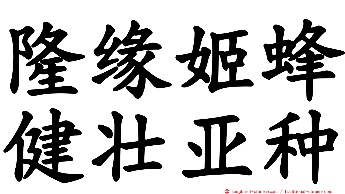 隆缘姬蜂健壮亚种