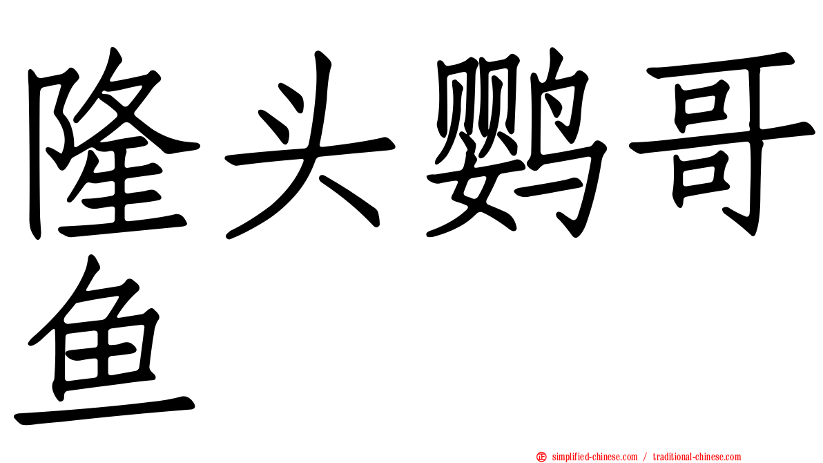 隆头鹦哥鱼