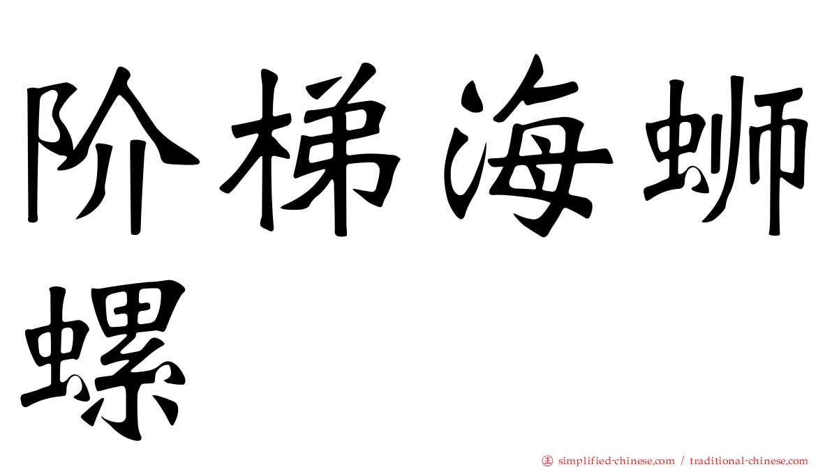 阶梯海蛳螺
