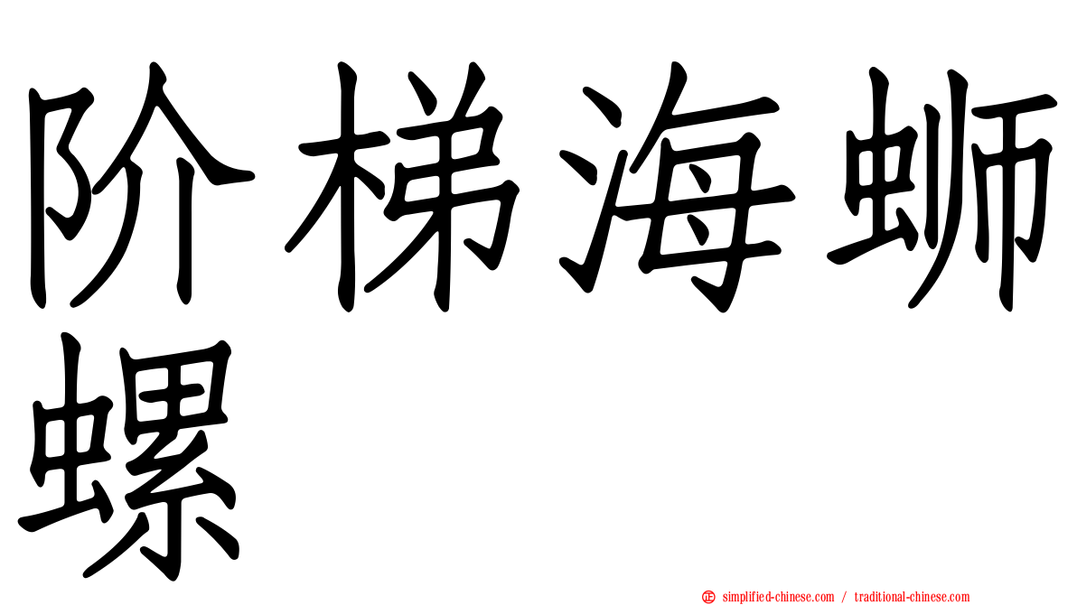 阶梯海蛳螺