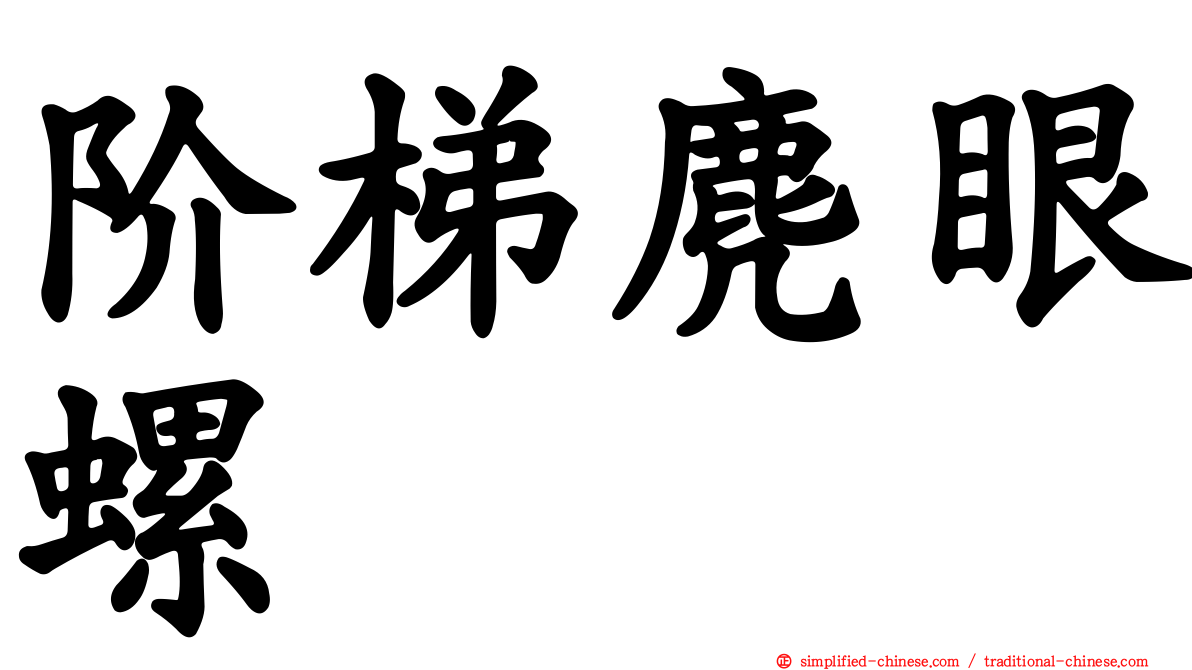 阶梯麂眼螺