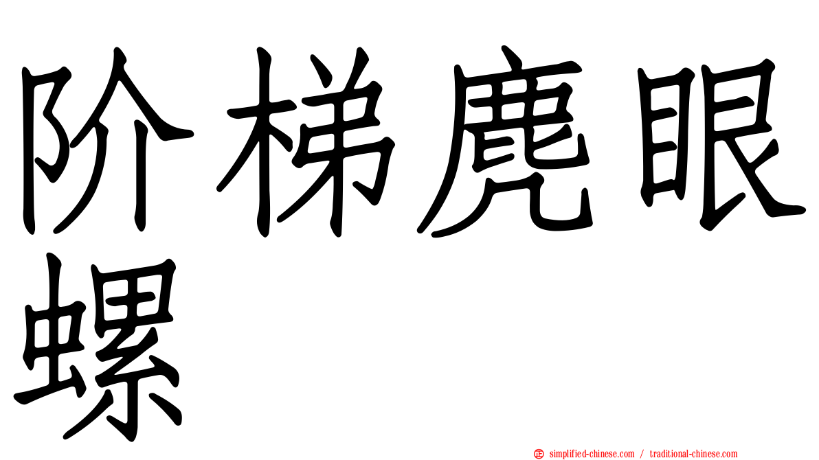 阶梯麂眼螺