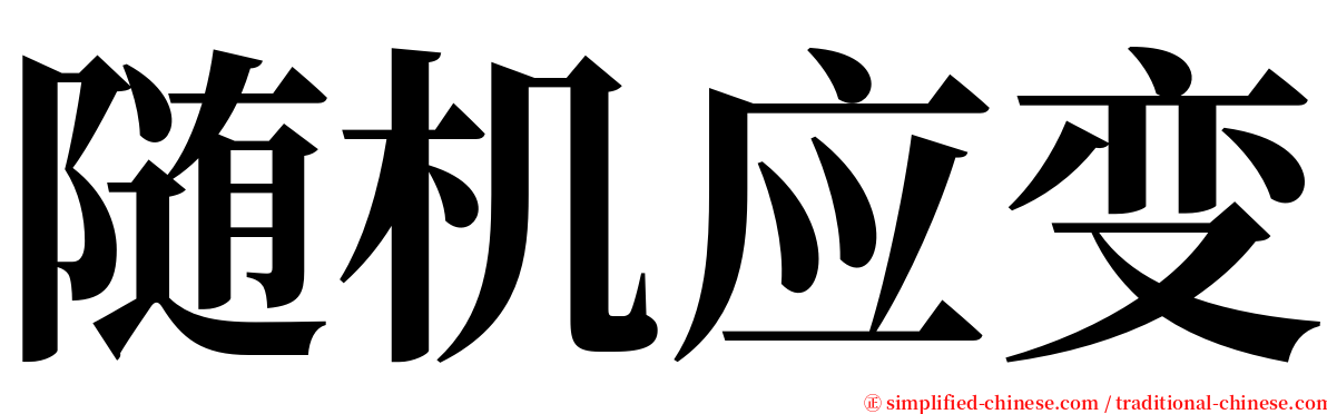 随机应变 serif font
