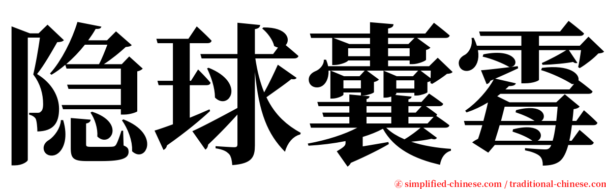 隐球囊霉 serif font