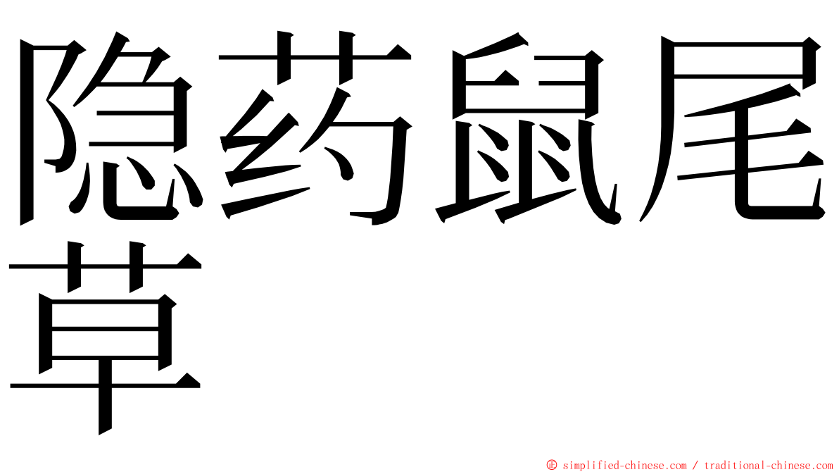 隐药鼠尾草 ming font