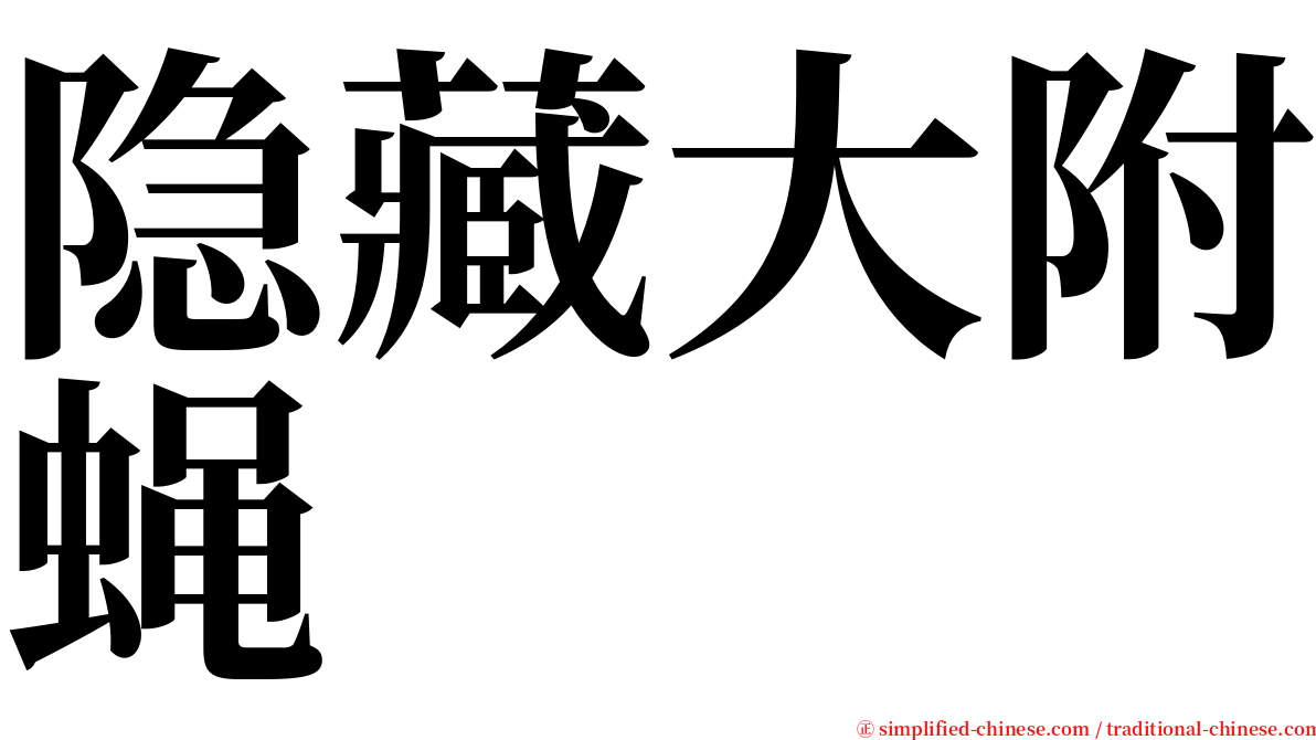 隐藏大附蝇 serif font