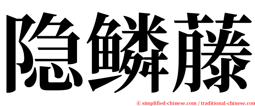 隐鳞藤 serif font