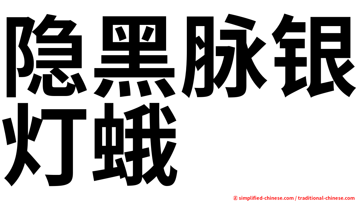 隐黑脉银灯蛾