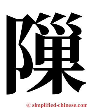 隟 serif font