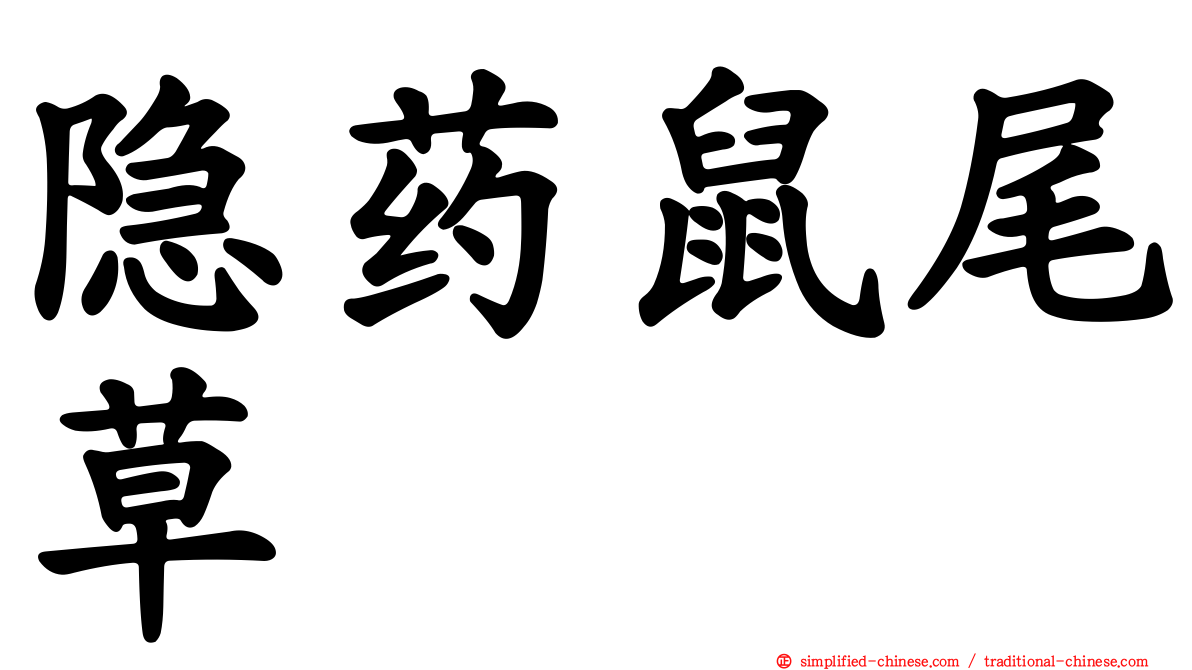 隐药鼠尾草