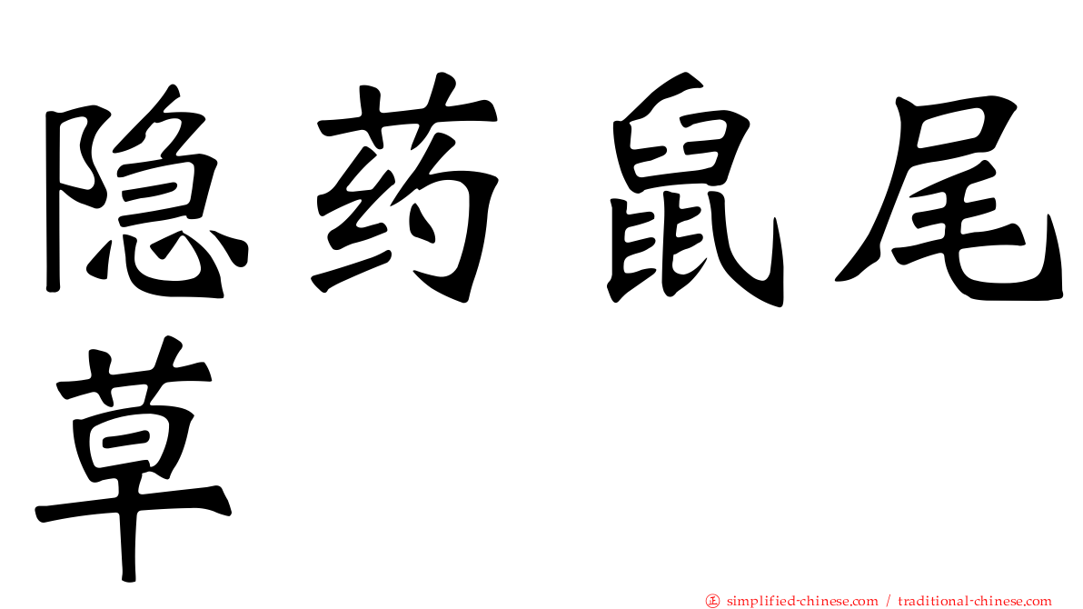 隐药鼠尾草