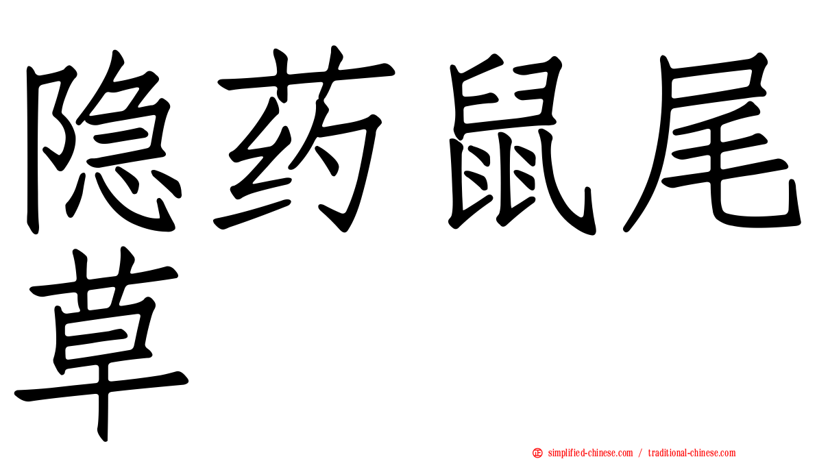 隐药鼠尾草