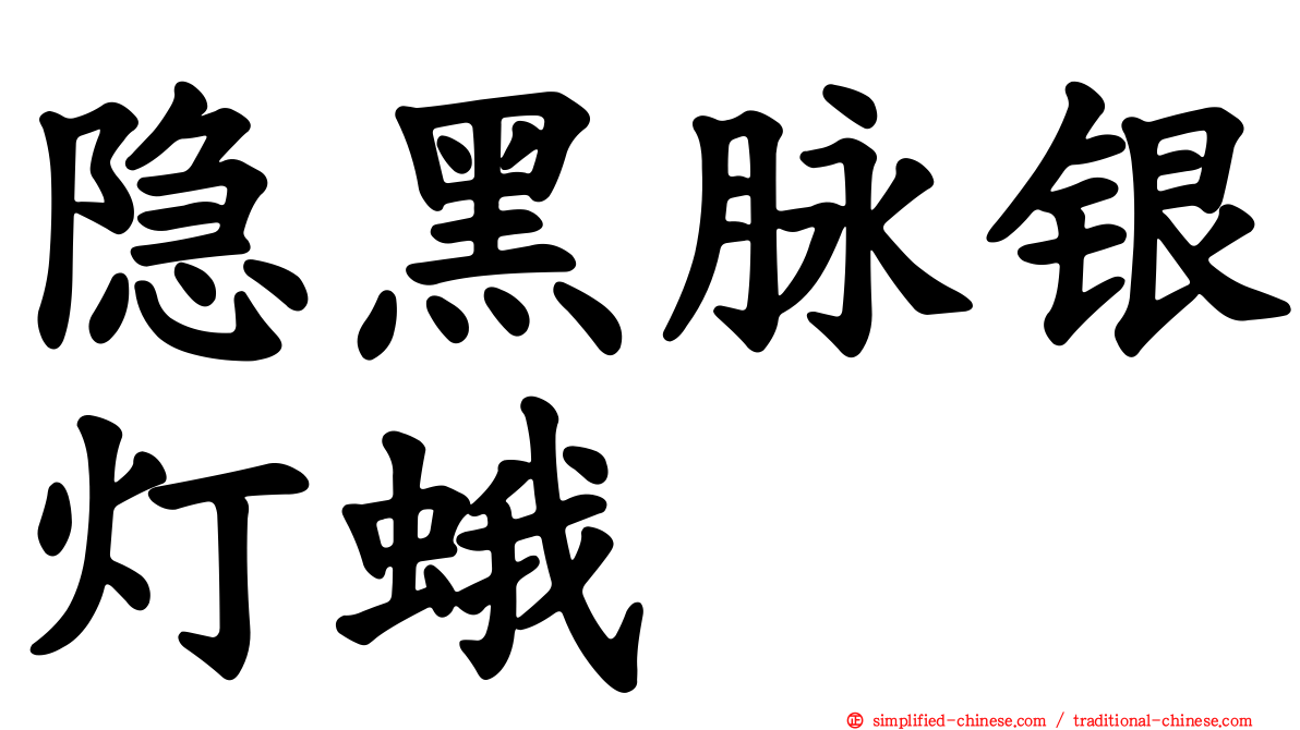 隐黑脉银灯蛾
