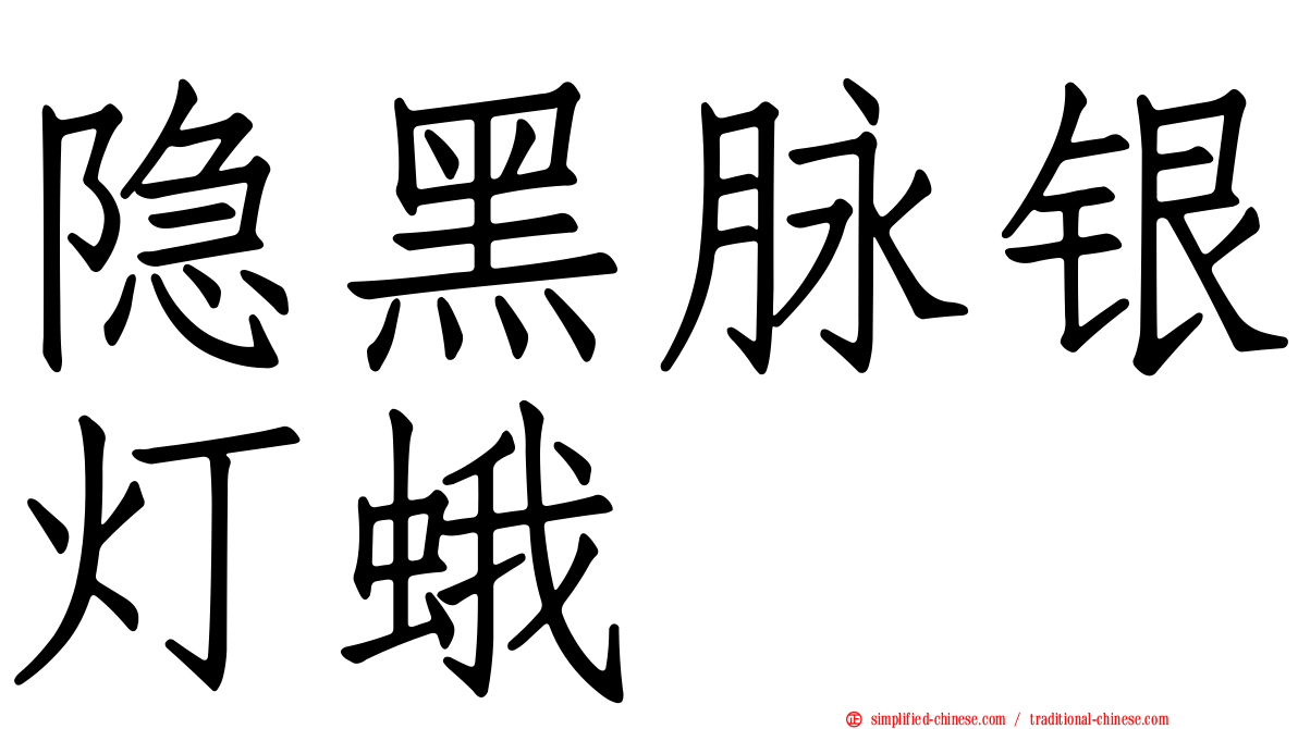 隐黑脉银灯蛾