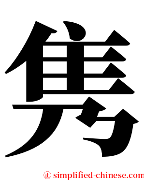 隽 serif font
