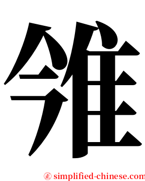 雂 serif font