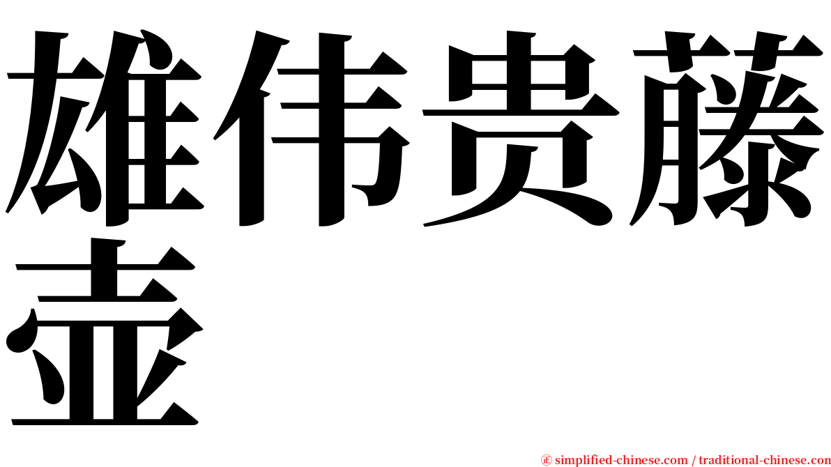 雄伟贵藤壶 serif font