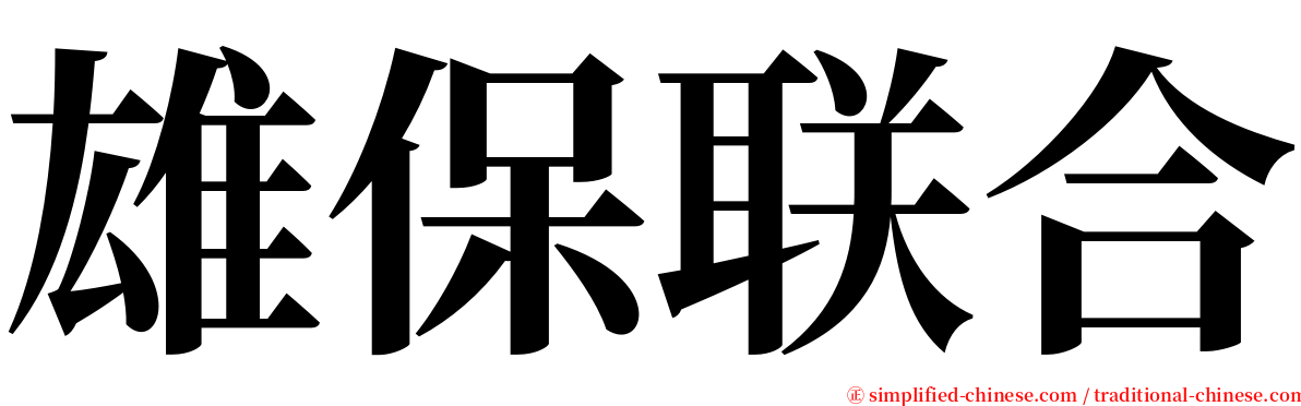 雄保联合 serif font