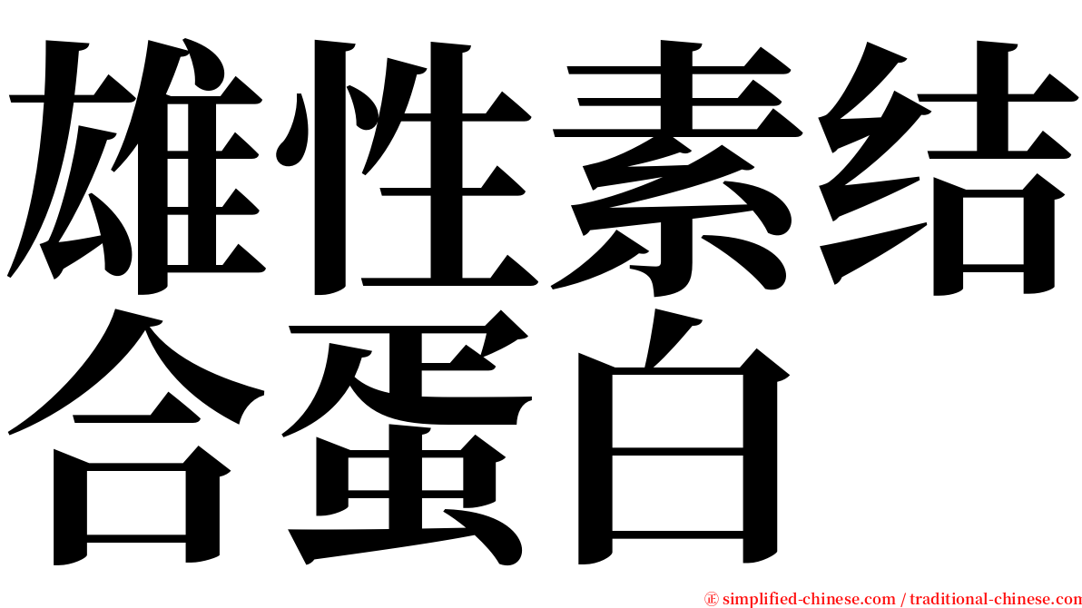 雄性素结合蛋白 serif font