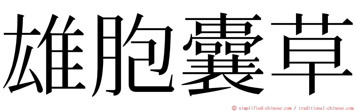 雄胞囊草 ming font