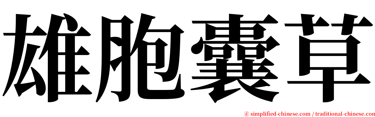 雄胞囊草 serif font