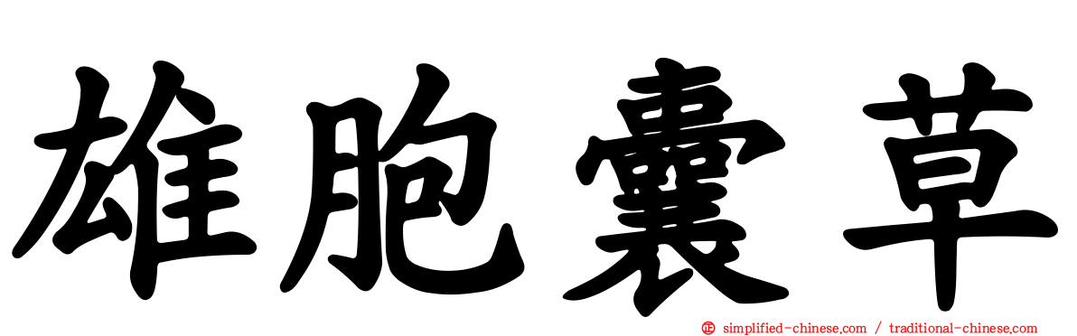 雄胞囊草