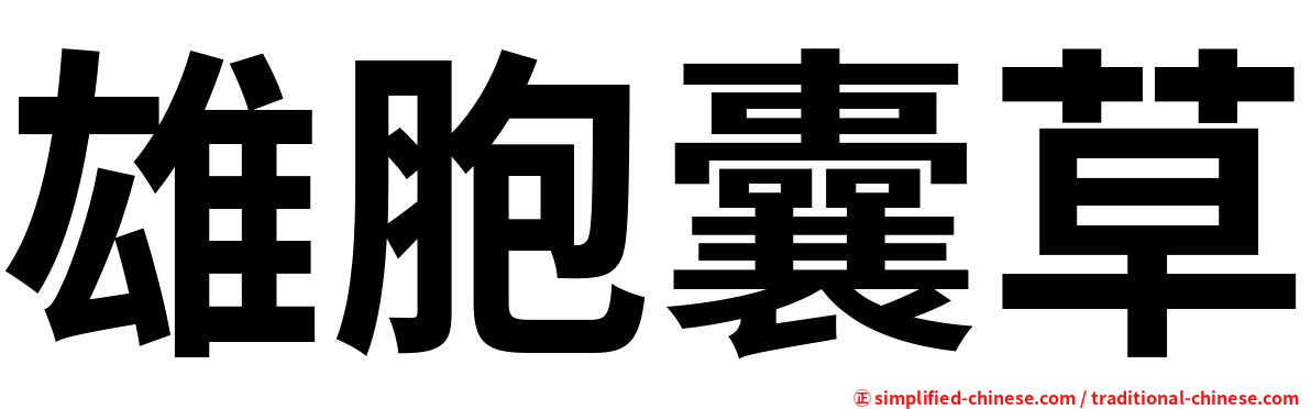 雄胞囊草