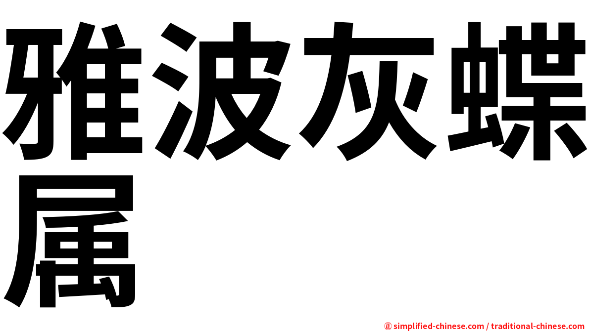 雅波灰蝶属