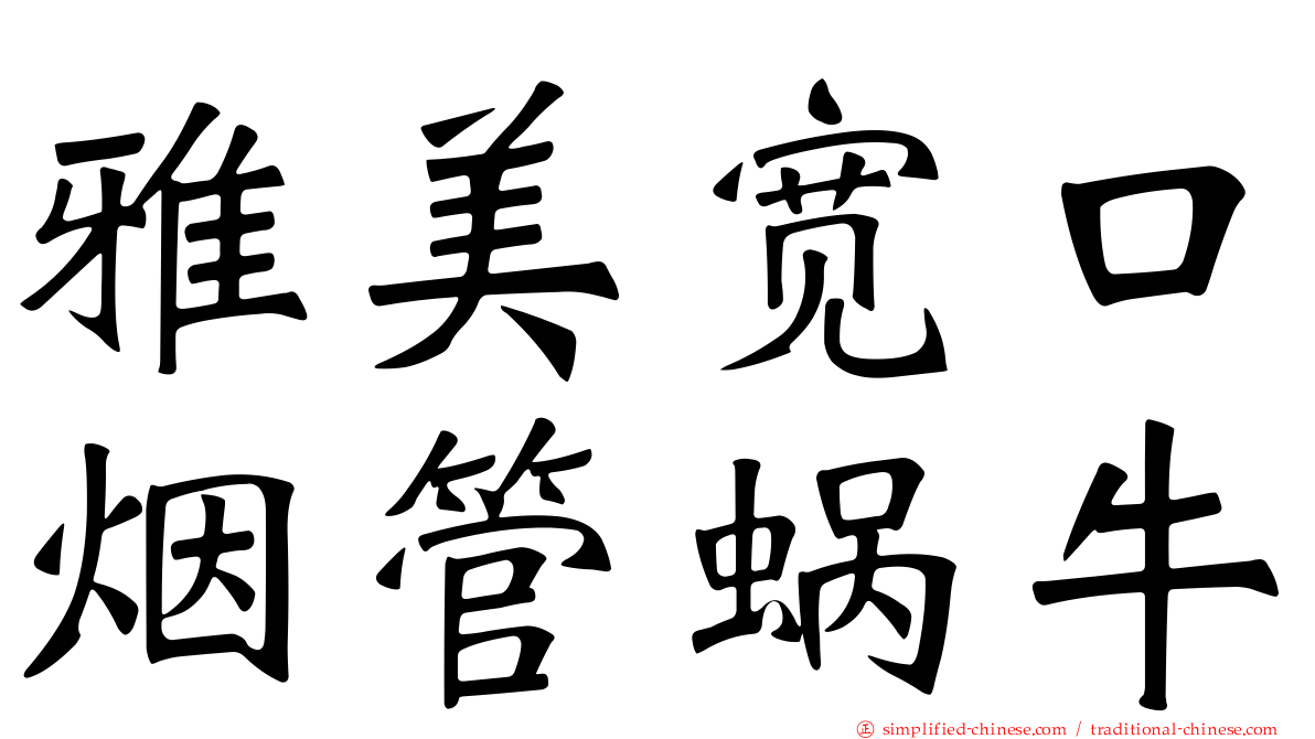 雅美宽口烟管蜗牛