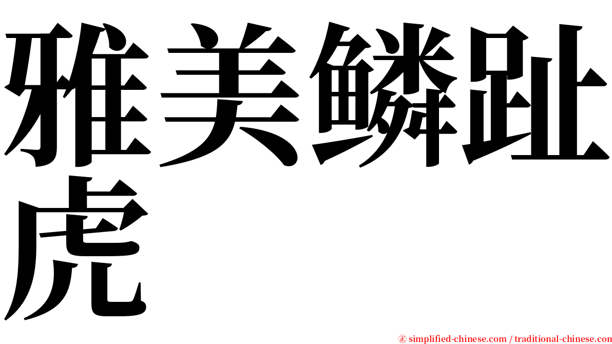 雅美鳞趾虎 serif font